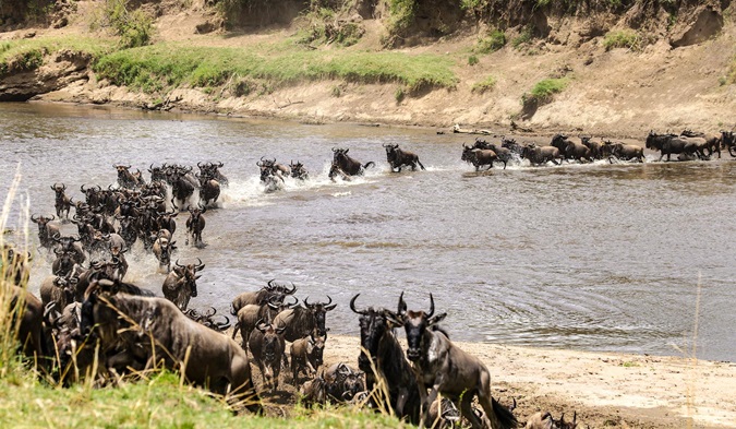 2 Days Maasai Mara Safari