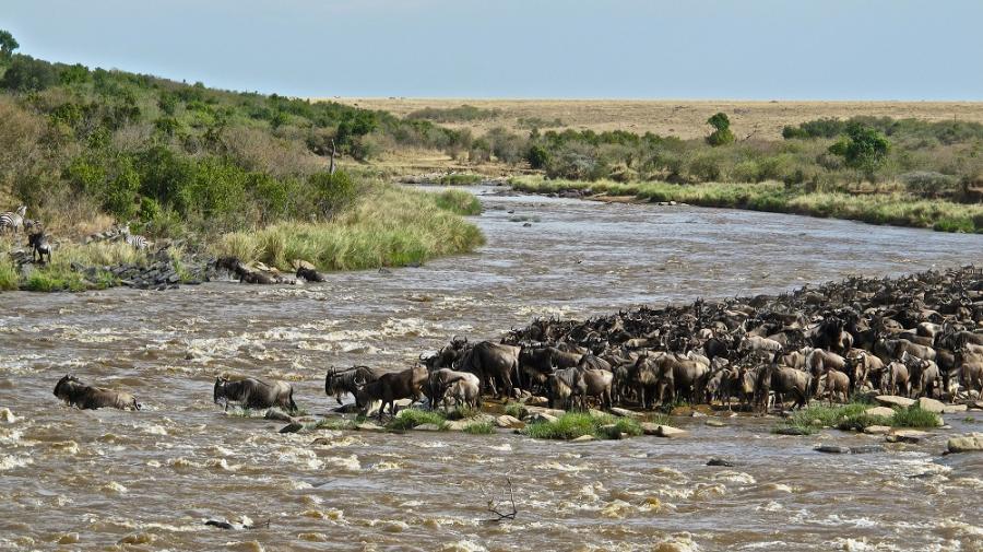 3 days Maasai Mara Safari